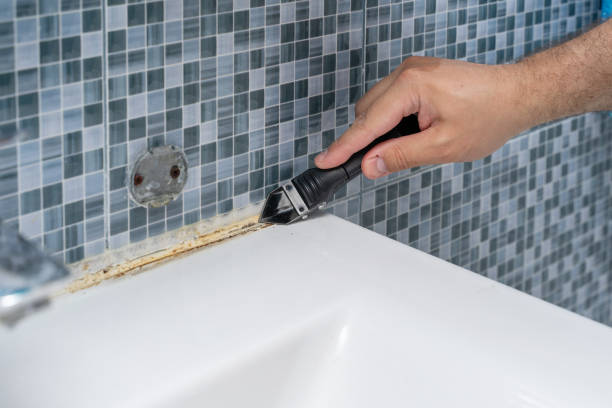 Best Toxic Mold Removal  in West Homestead, PA